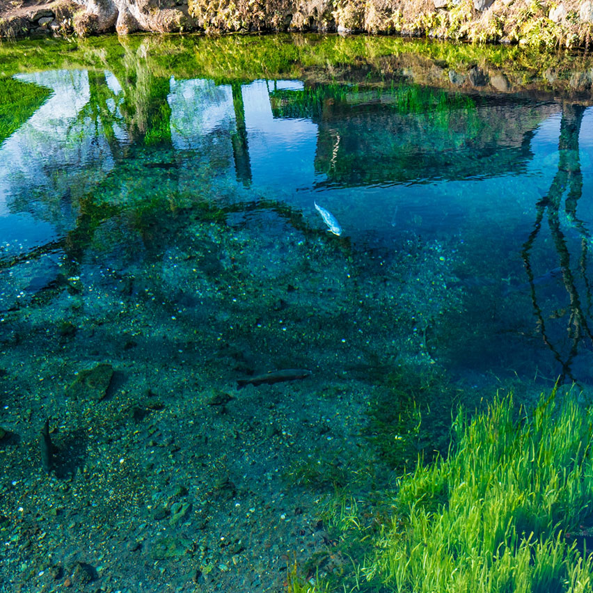 【世界文化遺産】忍野八海