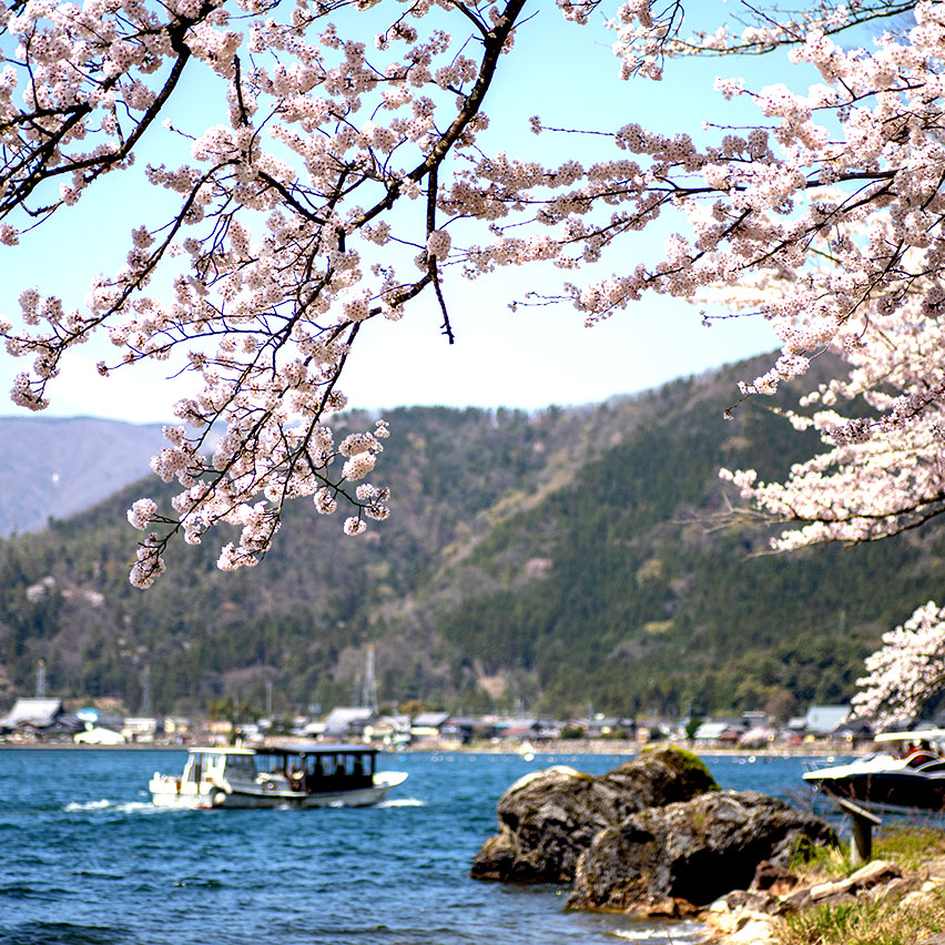 海津大崎
