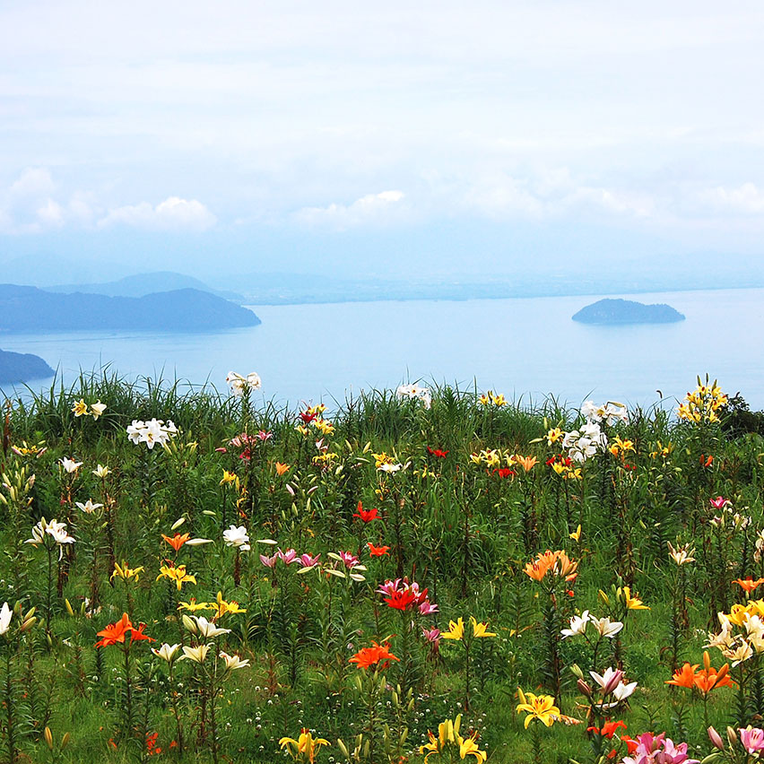 びわこ箱館山