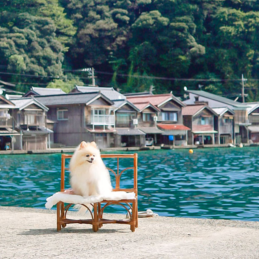 伊根の舟屋