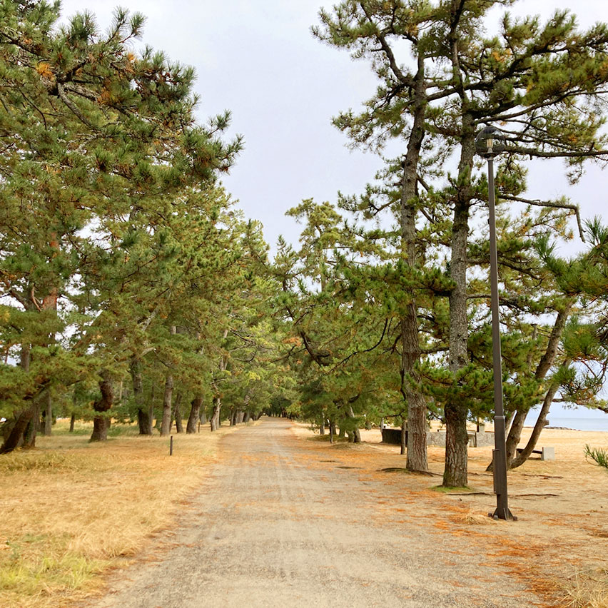 天橋立 傘松公園