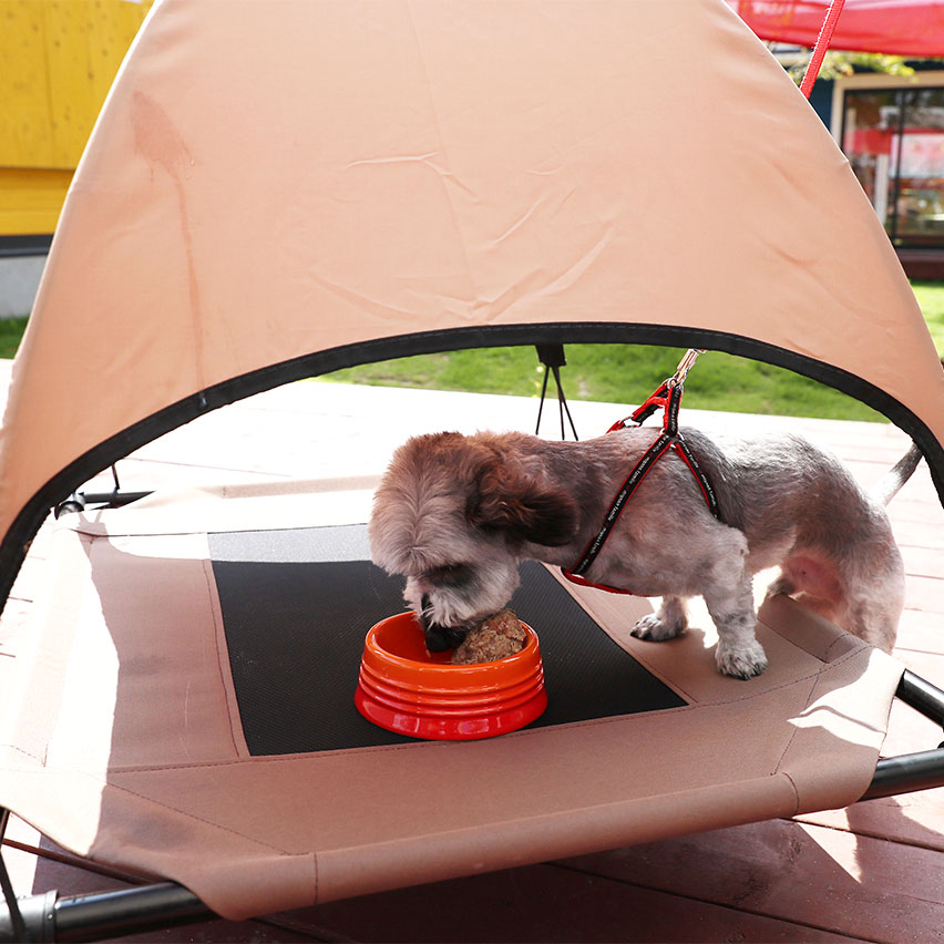 犬用レンタル用品